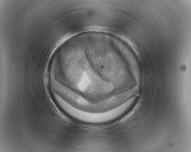 X0000098091125200805021039