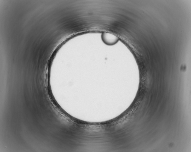 X0000098091126200805021039