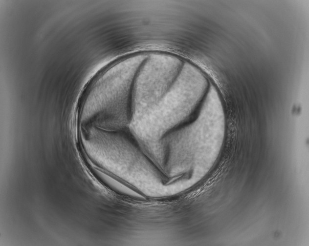 X0000098091127200805021039