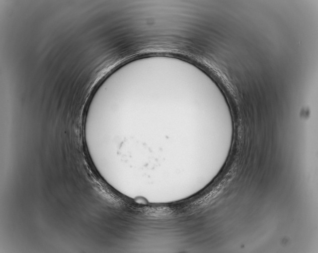 X0000098091129200805021039