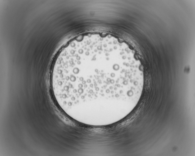 X0000098091130200805021039