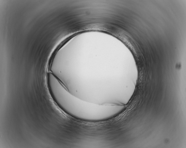 X0000098091132200805021039