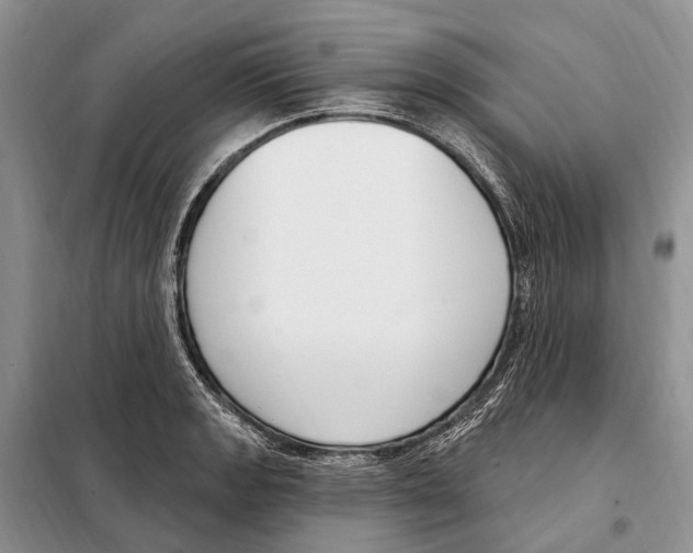 X0000098091133200805021039