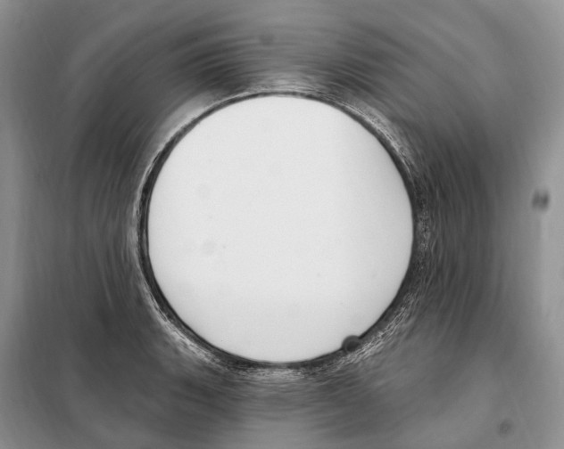 X0000098091135200805021039