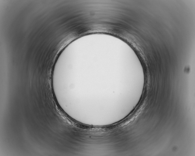 X0000098091137200805021039