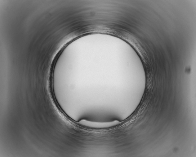 X0000098091139200805021039