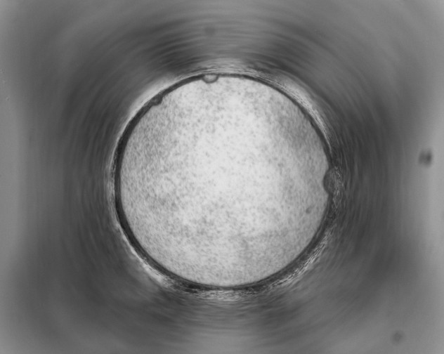 X0000098091141200805021039