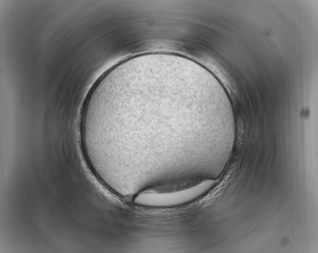 X0000098091142200805021039