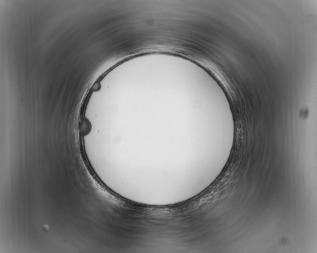 X0000098091143200805021039