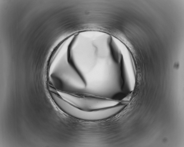 X0000098091144200805021039