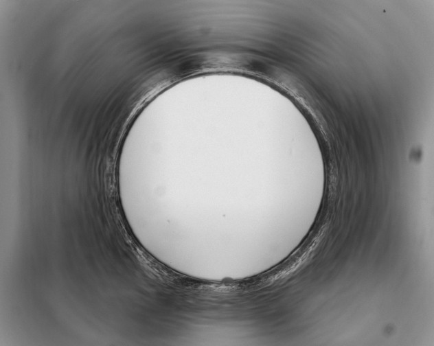 X0000098091145200805021039