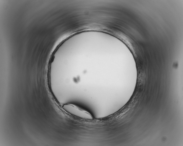 X0000098091146200805021039