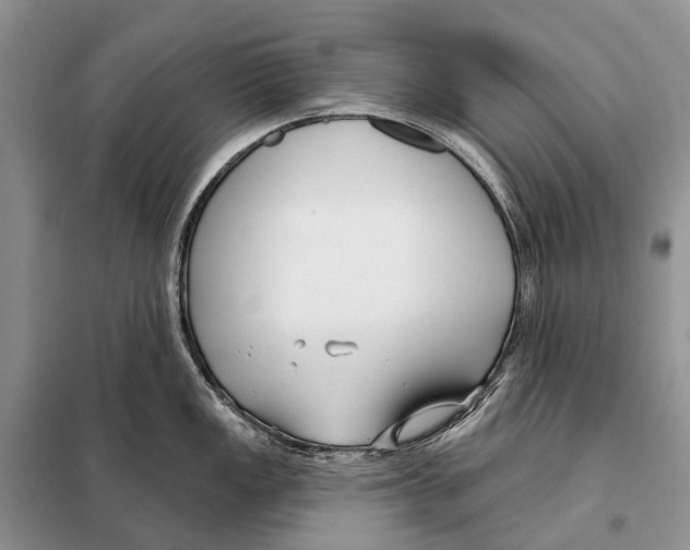 X0000098091149200805021039