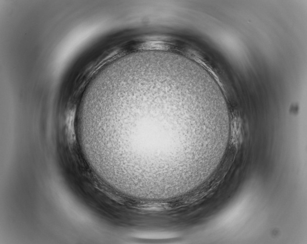 X0000098091150200805021040