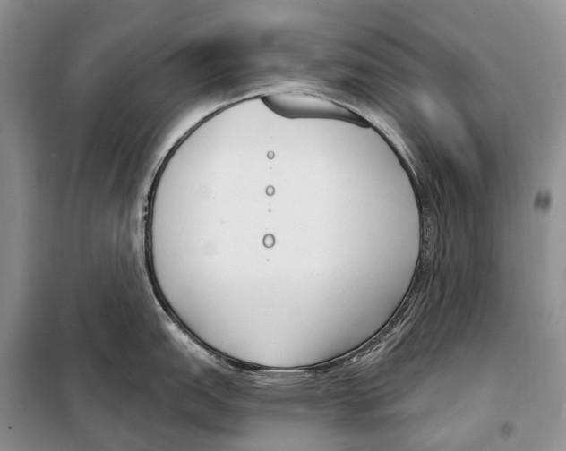 X0000098091151200805021040