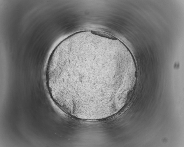 X0000098091152200805021040