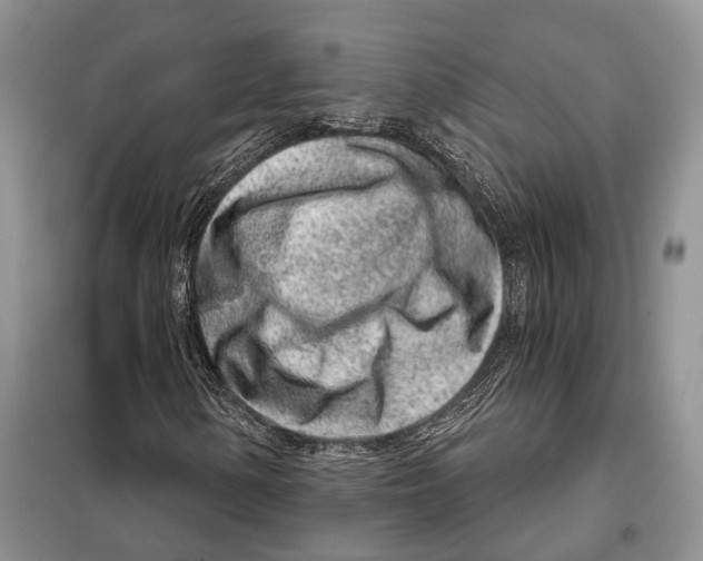 X0000098091154200805021039