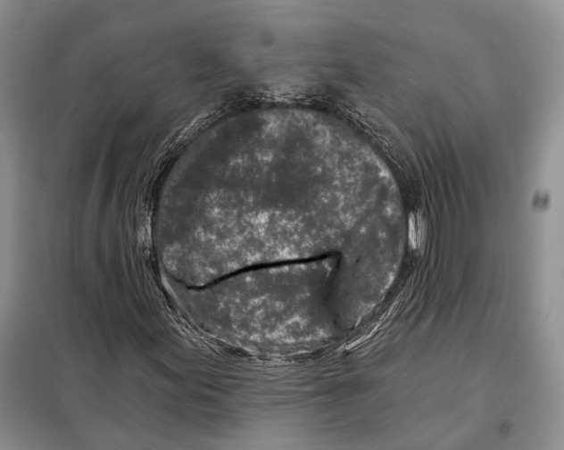 X0000098091155200805021039