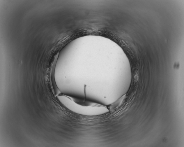 X0000098091156200805021039