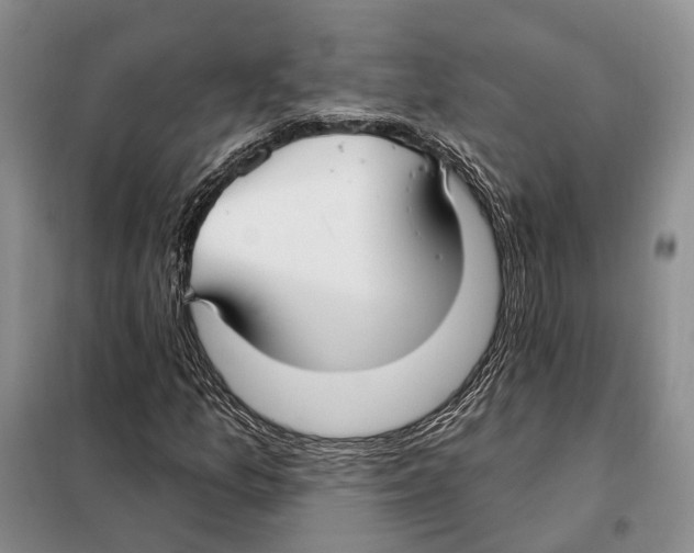 X0000098091157200805021039