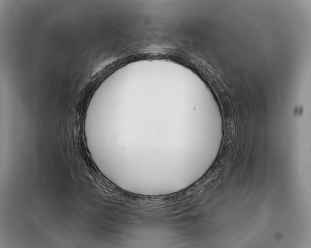 X0000098091158200805021039