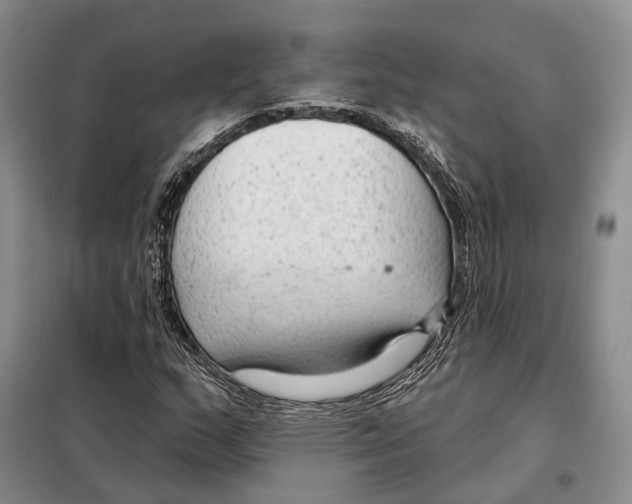 X0000098091159200805021039