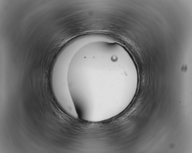 X0000098091161200805021039