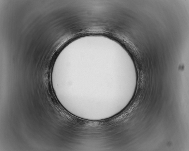 X0000098091162200805021039