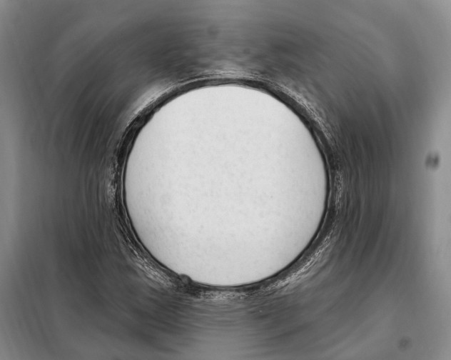 X0000098091163200805021039