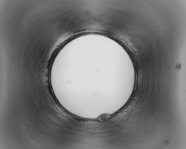 X0000098091164200805021039