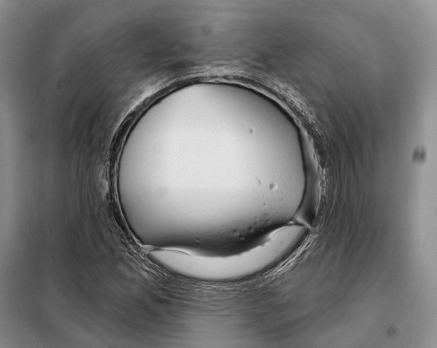 X0000098091165200805021039