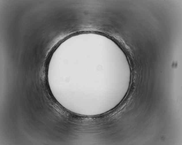 X0000098091167200805021039