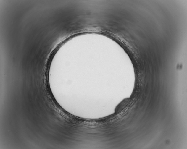 X0000098091168200805021038