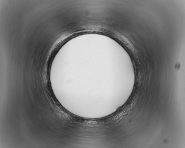 X0000098091172200805021038