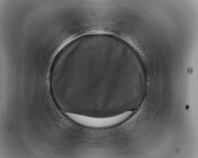 X0000098091173200805021038