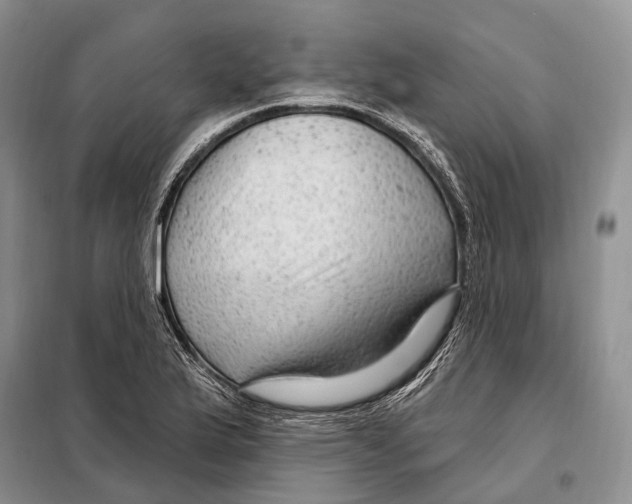 X0000098091175200805021038