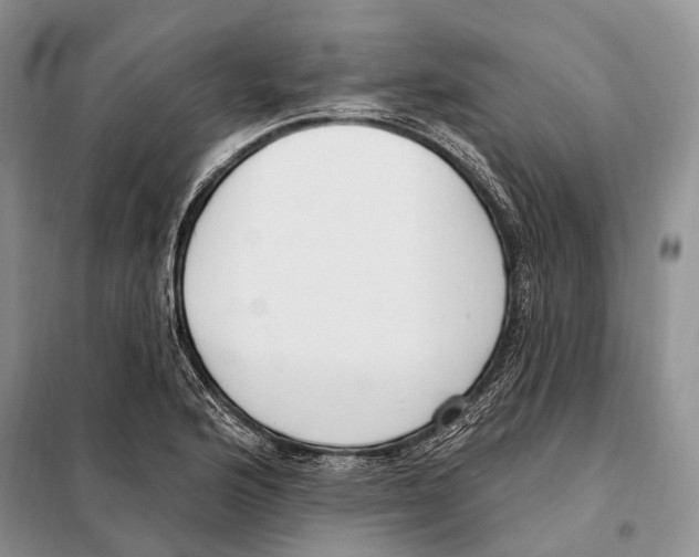 X0000098091176200805021038