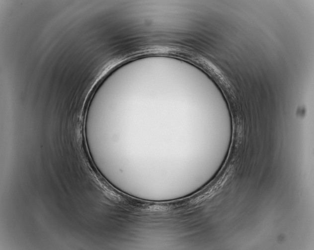 X0000098091178200805021038