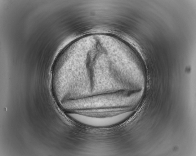 X0000098091179200805021038