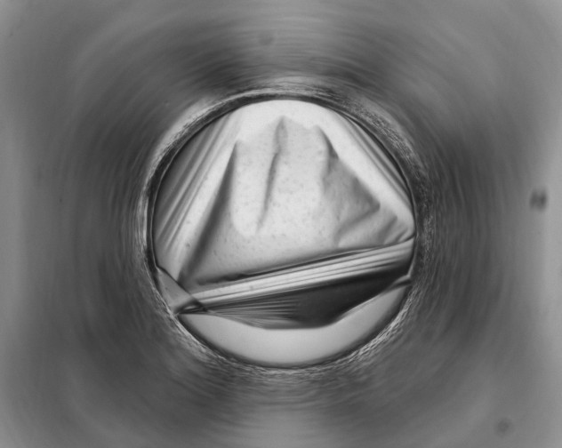 X0000098091180200805021038