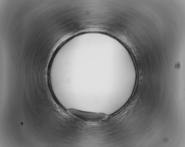 X0000098091181200805021038