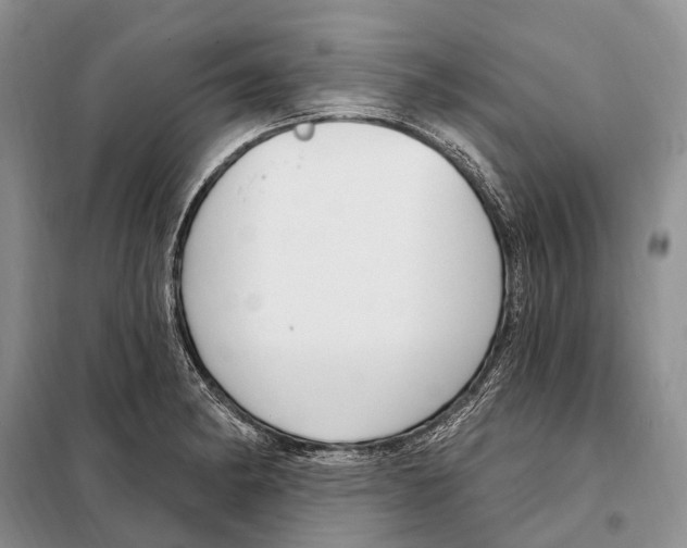 X0000098091182200805021038