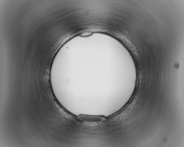 X0000098091185200805021038