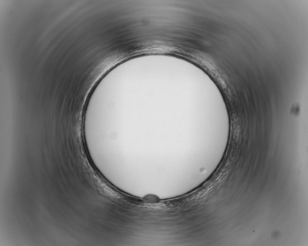 X0000098091186200805021038