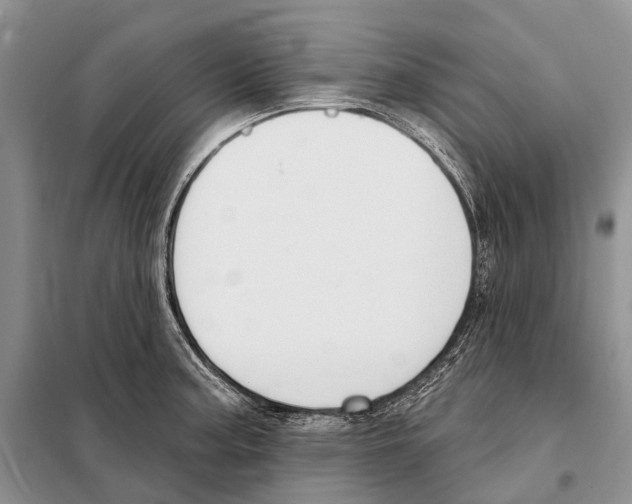 X0000098091187200805021038