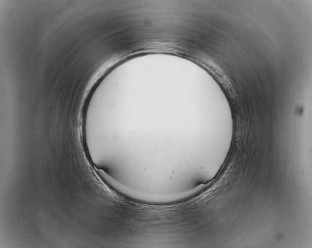 X0000098091188200805021038