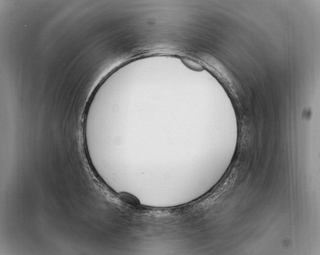 X0000098091190200805021038