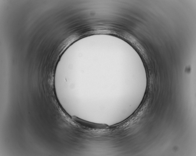 X0000098091193200805021038