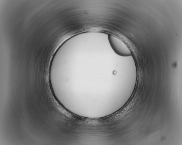 X0000098091194200805021038