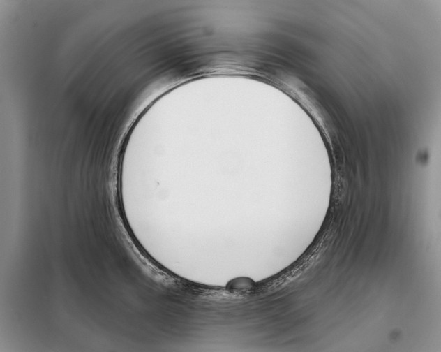 X0000098091195200805021038